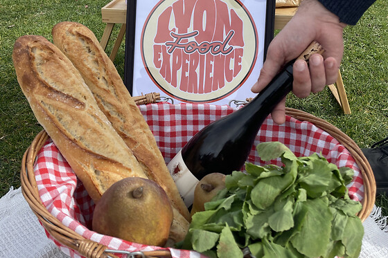 Pique-nique gastronomie Lyonnaise au parc de la Tête d'Or (69)