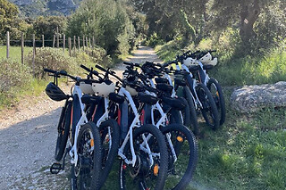 Dégustations & visites à vélo électrique dans les Alpilles (13)