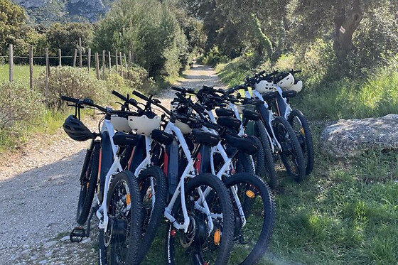 Dégustations & visites à vélo électrique dans les Alpilles (13)