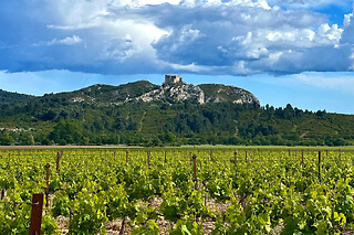 Dégustations & visites à vélo électrique dans les Alpilles (13)