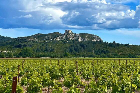 Dégustations & visites à vélo électrique dans les Alpilles (13)