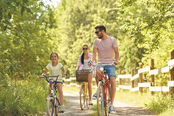 Safari demi-journée en vélo au Grau-du-Roi (30)