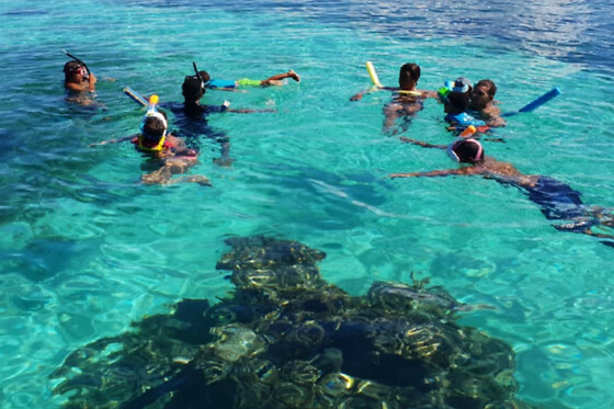 Journée découverte des merveilles de la Guadeloupe de Saint-Rose