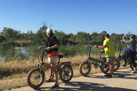 Safari commenté à VTT électrique depuis Aigues-Mortes (30)