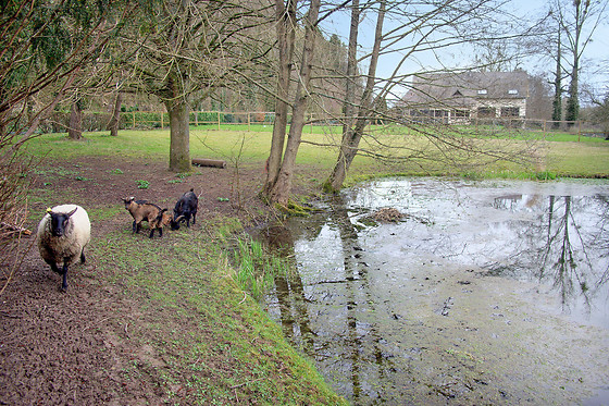 Le domaine des terres du Thil - photo 7