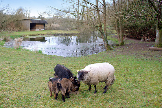 Le domaine des terres du Thil - photo 6