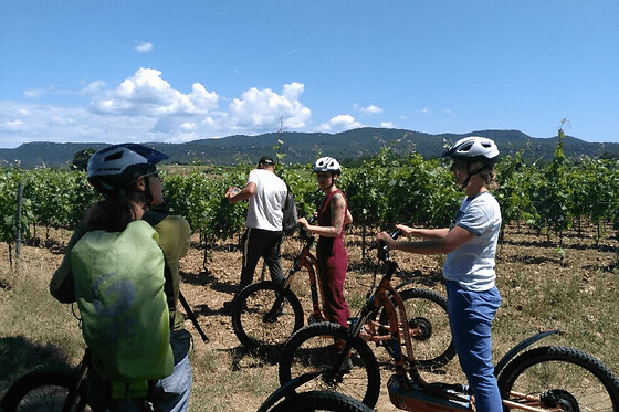 Balade en trottinette des vignes du domaine de la Selve (07)