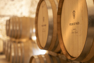 Visite guidée et dégustation de vin à Mèze (34)