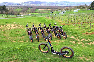 Location de trottinettes électrique au Beaujolais proche de Lyon - Location - 1h