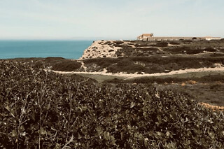 Balade en side-car de Sesimbra à Cabo Espichel