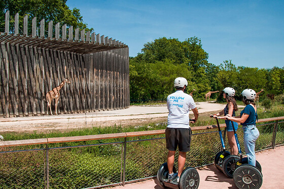 Visite des incontournables de Lyon à Segway (69)