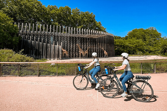 Balade à vélo au parc de la Tête d’or à Lyon (69) - Balade - vélo classique
