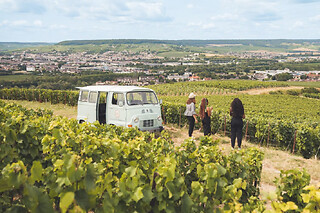 Balade en van vintage avec dégustation en Champagne (51)