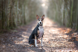 Camille Changeur Photographe