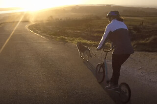 Cani-trottinette aux Monts d'Arrée (29)