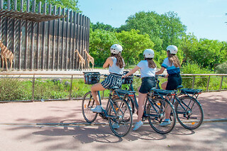 Balade guidée "Lyon en Grand" à vélo électrique (69)