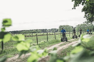Balade Segway entre le bois et les vignes à Léognan (33)
