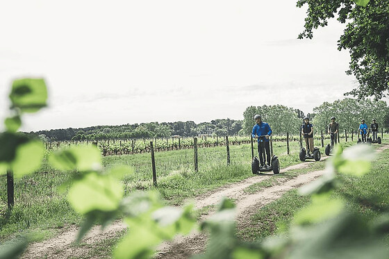 Balade Segway entre le bois et les vignes à Léognan (33)