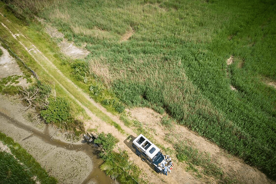Safari demi-journée en 4x4 au Grau-du-Roi (30)