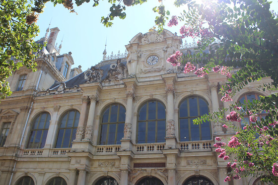 Visite guidée de la Presqu'île à Lyon (69)