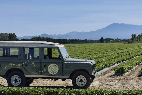 Safari viticole en Land Rover à Sarrians (84)
