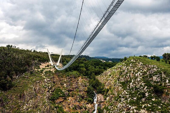 Corga Tours - photo 24