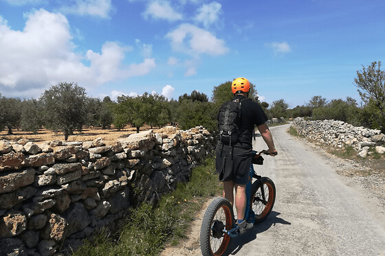 Balade de l'étang à trottinette à Leucate (11)