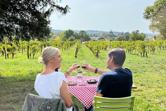 Visite Privée en 2cv dans les Vignes avec dégustation à Bordeaux