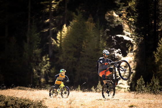 Location de vélo autour du lac d'Annecy (74) - VTT/VTC Adulte - 1/2 journée