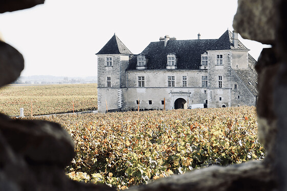 Visite & dégustation de vins en Côte de Nuit (21)