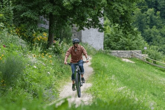 Location de VTT-VTC électrique à l'Etang de la vallée (45) - Taille 1m35 à 1m45 - 2h