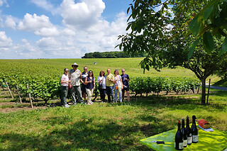 Visite guidée découverte des vins de Loire (37)