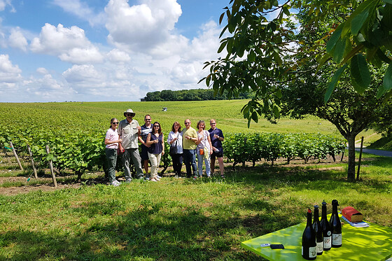 Visite guidée découverte des vins de Loire (37)