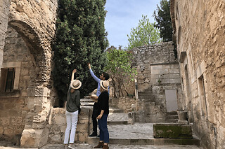 Visite guidée  "Journée en Provence" au départ d'Aix-en-Provence