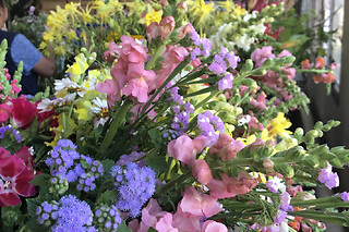 Visite à la ferme & atelier floral  à Avrainville (91) - Atelier bouquet de fleurs de saison - 1h30
