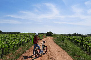 Balade à trottinette électrique en Camargue (30)