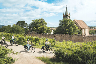Balade guidée à vélo sur la route des vins d'Alsace