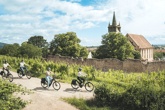 Balade guidée à vélo sur la route des vins d'Alsace