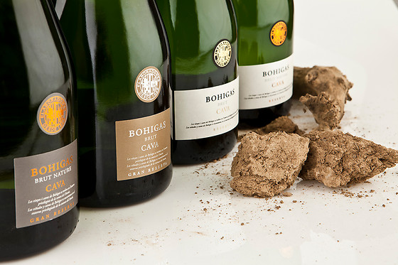 BODEGA BOHIGAS - photo 1
