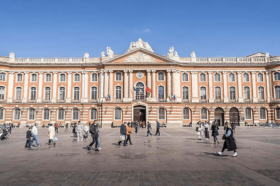 Toulouse Pass Tourisme (31)
