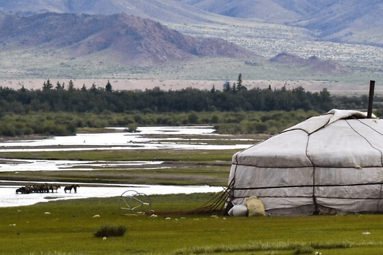 Escape Game La Yourte d'Alaanbaatar au Parc Floral