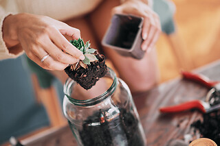 Atelier terrarium à Paris 12ème