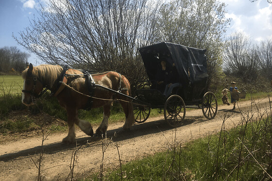 Balade en calèche et journée au marché à Callac (22)
