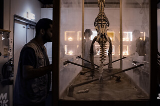 Escape Game "Jurassic room" à Rouen (76) - 3 joueurs
