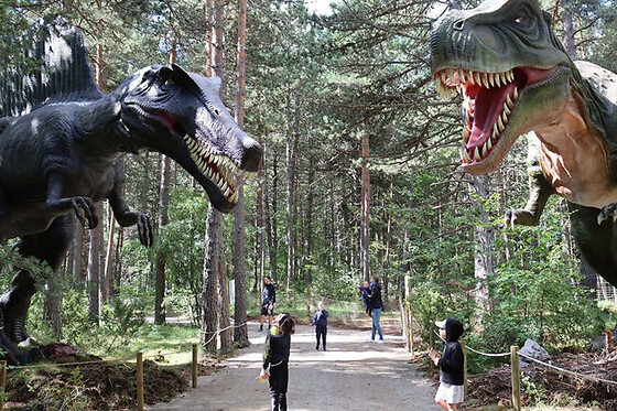 Billet pour Dinopedia Parc Mende en Lozère (48)
