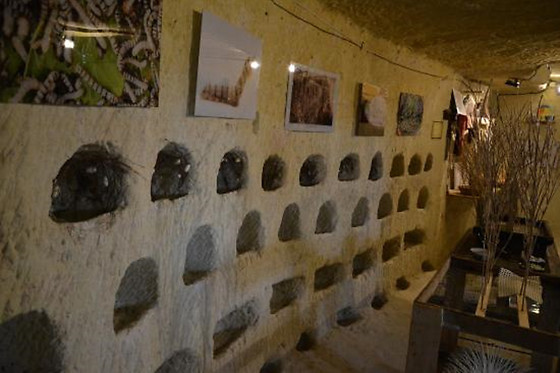 La Magnanerie - photo 1
