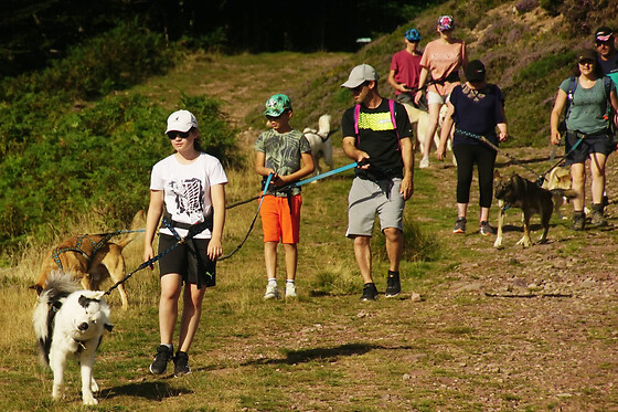 Cani-Rando dans la forêt du Braca à la Pierre Saint-Martin (64) - Duo adulte - 2h