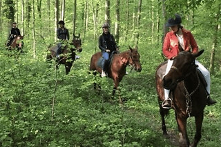 Balade à cheval en forêt de Chantilly (60) - Privatisation - Forfait 2 personnes