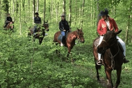 Balade à cheval en forêt de Chantilly (60) - Privatisation - Forfait 2 personnes