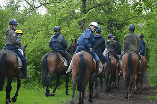 Balade à cheval en forêt de Chantilly (60) - Privatisation - Forfait 2 personnes